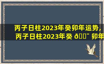 丙子日柱2023年癸卯年运势,丙子日柱2023年癸 🐯 卯年运势怎么样